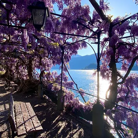 Casa Blue * Gravedona